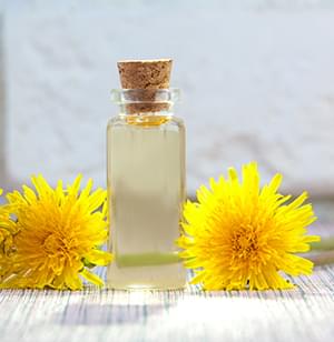 Dandelion Extract.